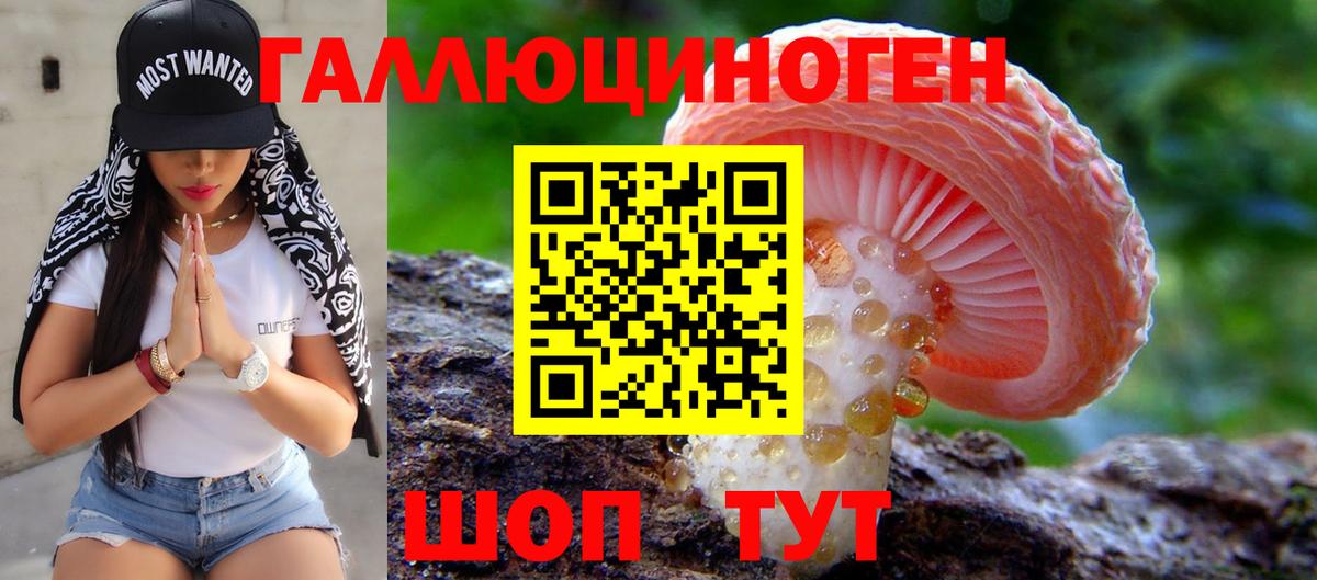 Галлюциногенные грибы Psilocybine cubensis  Вход с VPN  Троицк 
